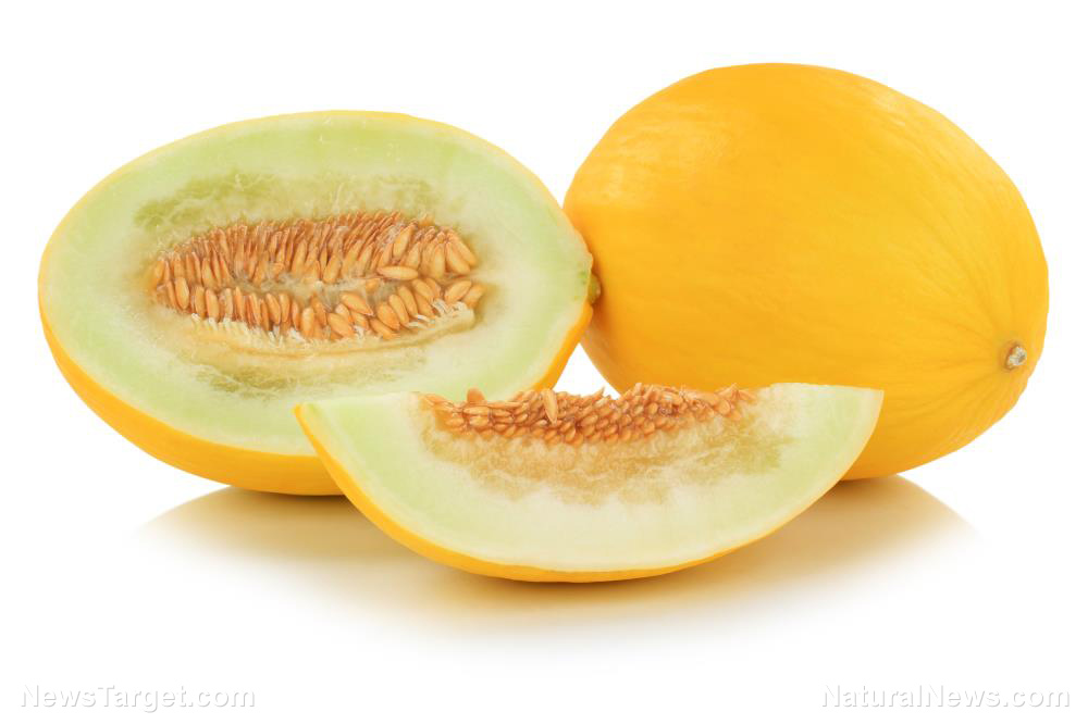 battle-of-the-melons-what-are-the-differences-between-cantaloupes-and